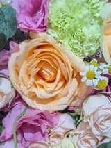 دسته گل رز هلویی - تصویر ۵