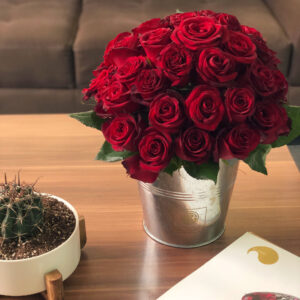 سطل گل رز گل گیفت کد GG009